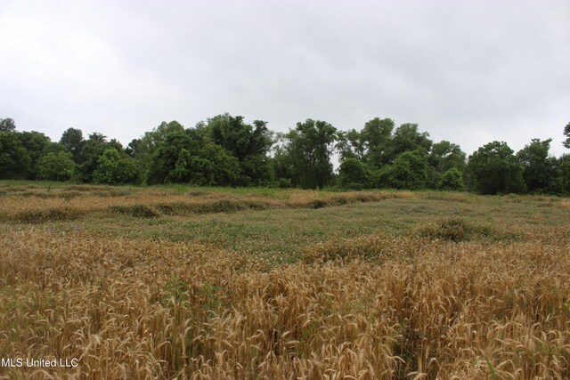 001 Levee Rd, Yazoo City, MS 39194