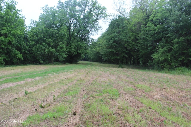 001 Levee Rd, Yazoo City, MS 39194