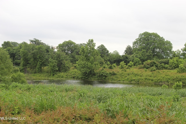001 Levee Rd, Yazoo City, MS 39194