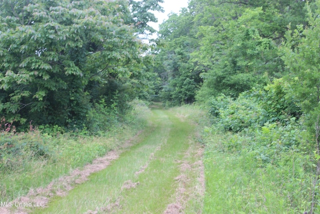 001 Levee Rd, Yazoo City, MS 39194