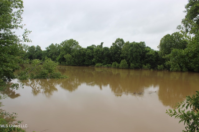 001 Levee Rd, Yazoo City, MS 39194