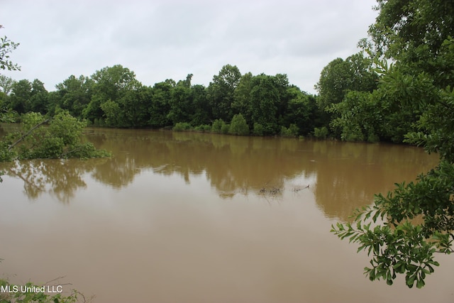 001 Levee Rd, Yazoo City, MS 39194