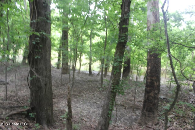 001 Levee Rd, Yazoo City, MS 39194