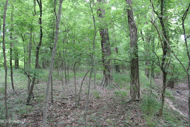 001 Levee Rd, Yazoo City, MS 39194