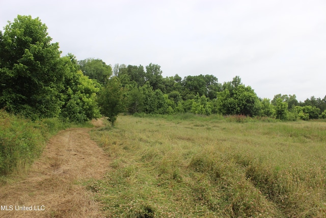 001 Levee Rd, Yazoo City, MS 39194