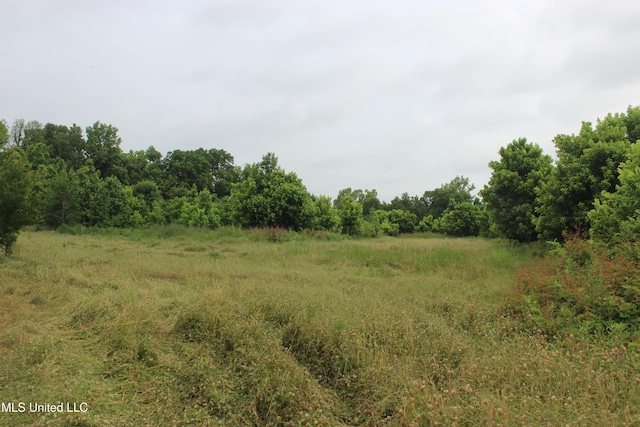 001 Levee Rd, Yazoo City, MS 39194