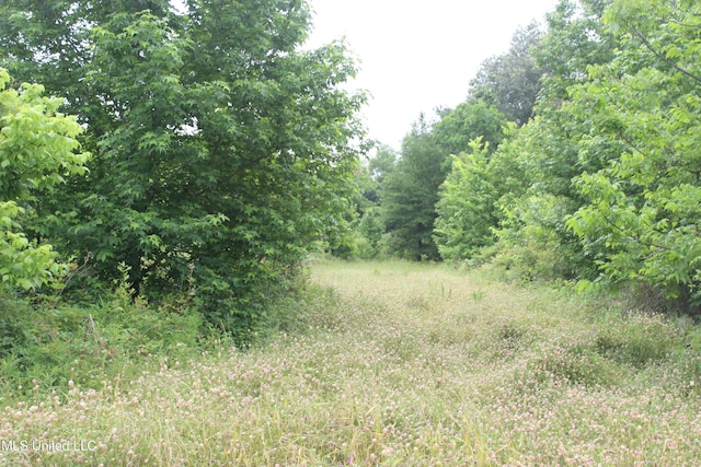 001 Levee Rd, Yazoo City, MS 39194