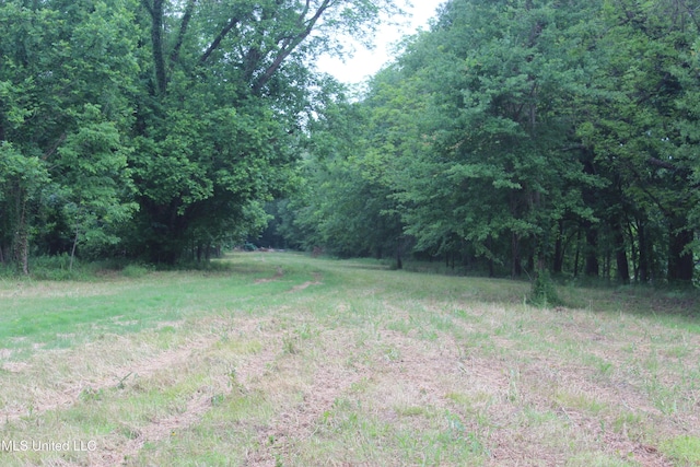001 Levee Rd, Yazoo City, MS 39194