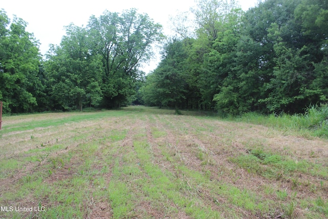 001 Levee Rd, Yazoo City, MS 39194