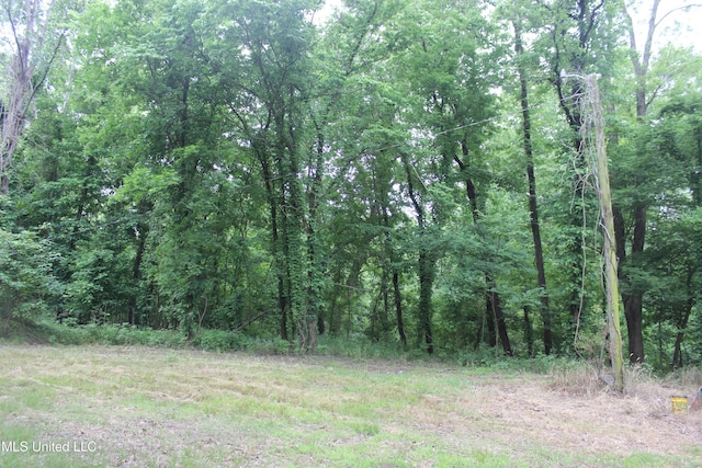 001 Levee Rd, Yazoo City, MS 39194