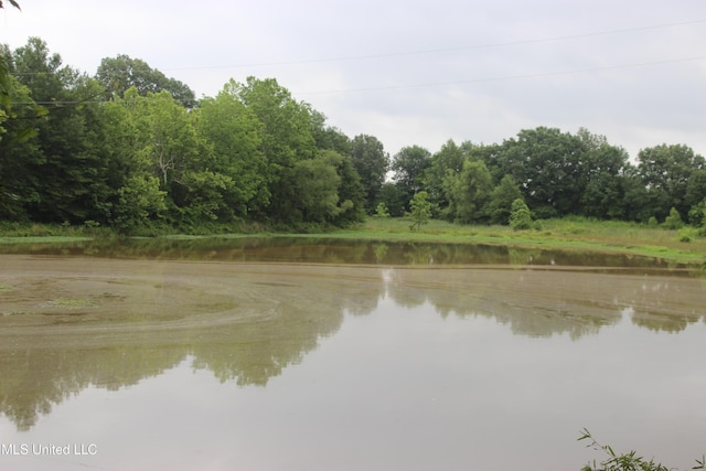 001 Levee Rd, Yazoo City, MS 39194