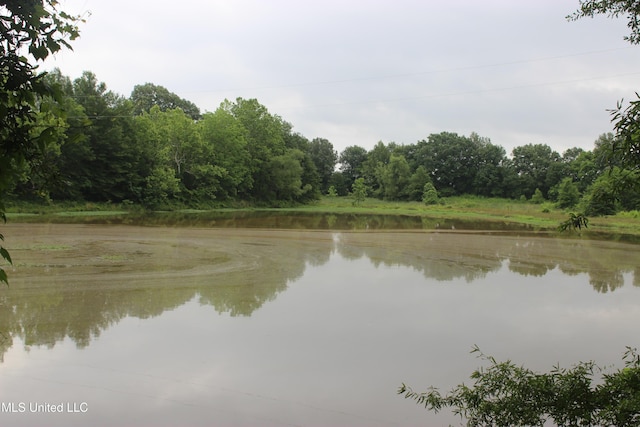 001 Levee Rd, Yazoo City, MS 39194