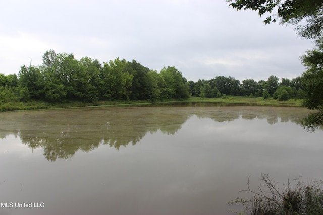 001 Levee Rd, Yazoo City, MS 39194