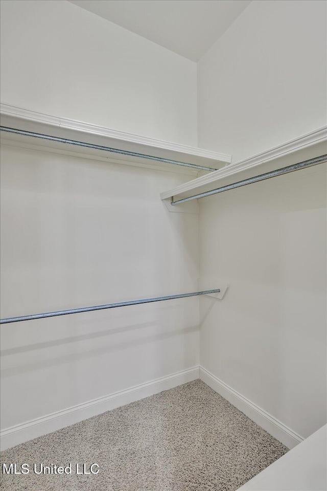 walk in closet with carpet floors