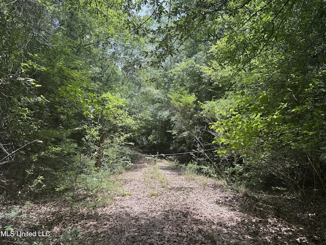 18611 Reese Dr, Saucier, MS 39574