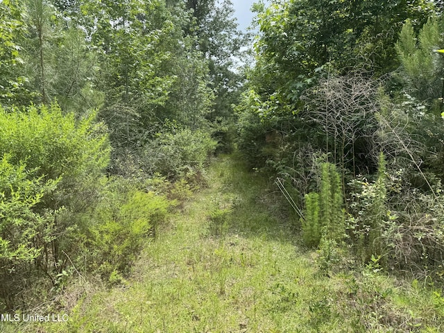 18611 Reese Dr, Saucier, MS 39574
