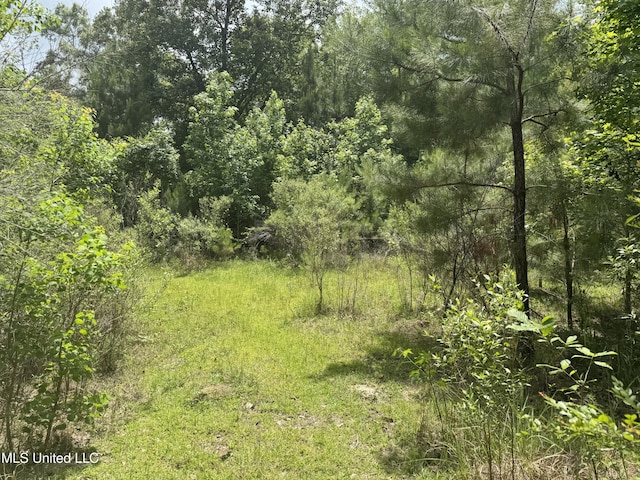 18611 Reese Dr, Saucier, MS 39574