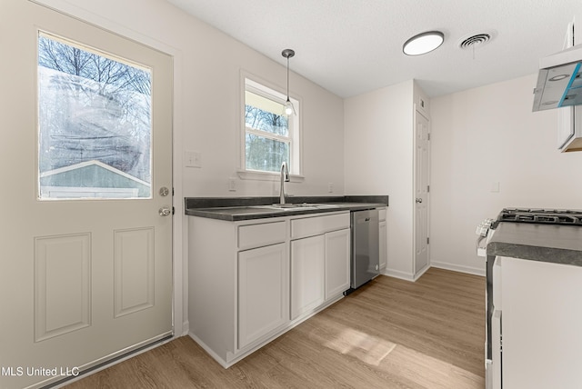 kitchen with pendant lighting, sink, light hardwood / wood-style flooring, appliances with stainless steel finishes, and white cabinets