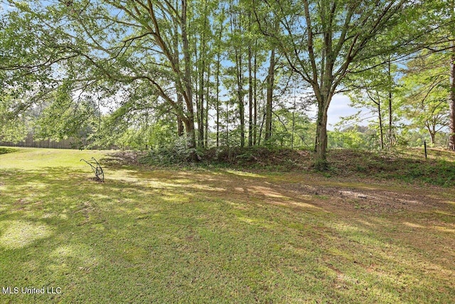 view of yard