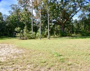LOTE1 Courtenay Ave, Pass Christian, MS 39571