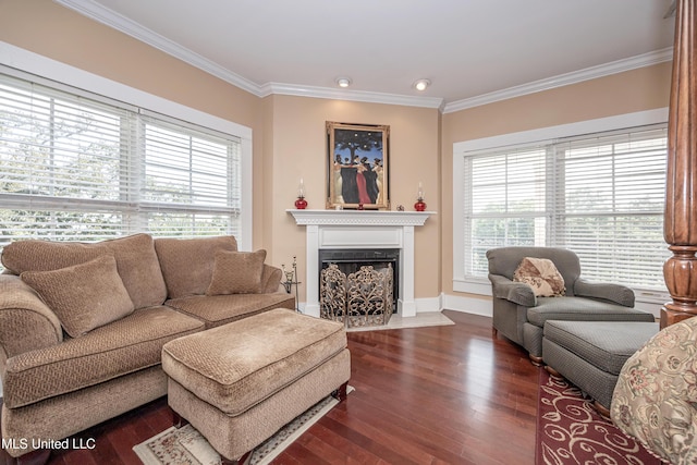 living room with wood finished floors, plenty of natural light, and ornamental molding