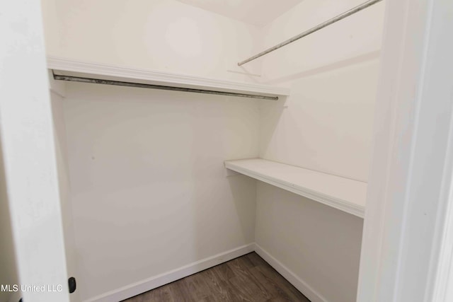118 Dogwood Trl, Brandon, MS 39047 - spacious closet with dark wood-type flooring