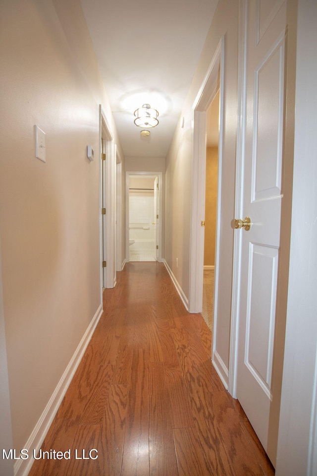 hallway featuring wood-type flooring