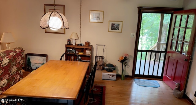 dining room featuring baseboards and wood finished floors