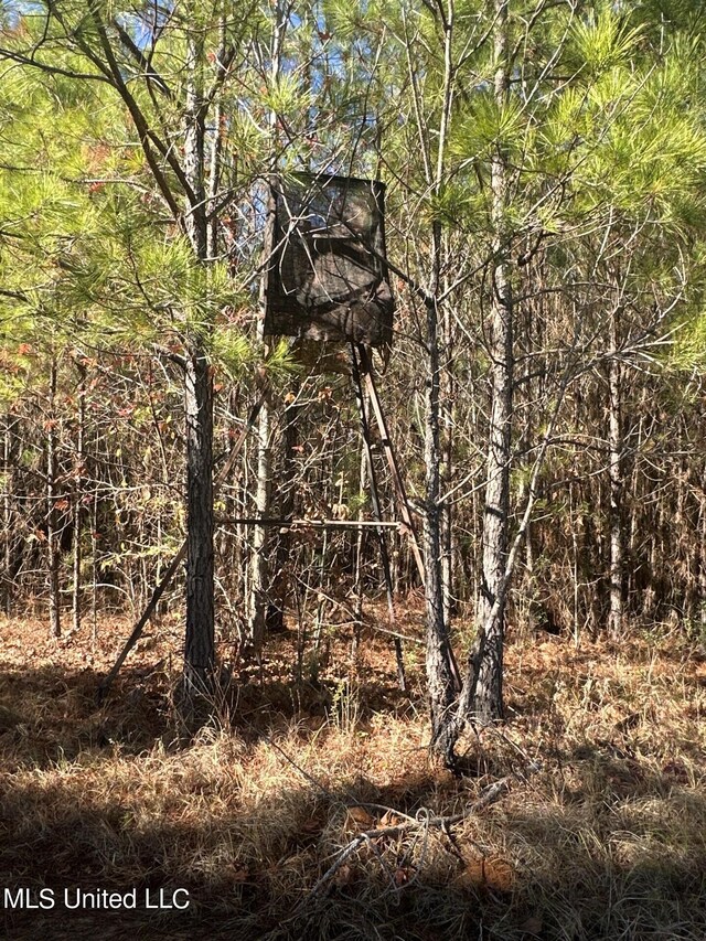 Hickory Fellowship Rd, Hickory, MS 39332