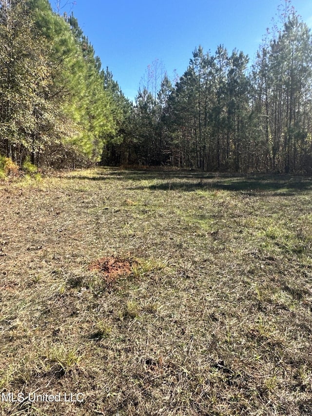 Hickory Fellowship Rd, Hickory, MS 39332