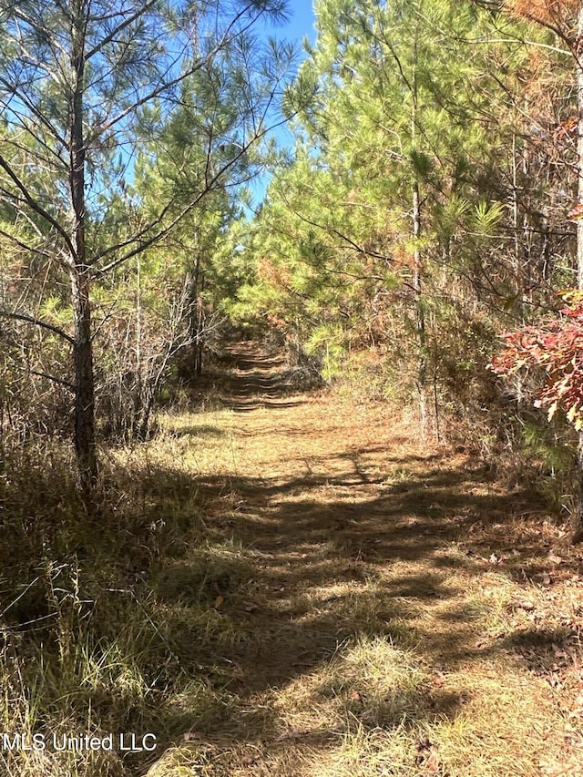 Hickory Fellowship Rd, Hickory, MS 39332