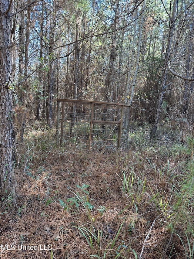 Hickory Fellowship Rd, Hickory, MS 39332