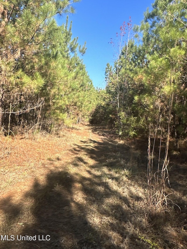 Hickory Fellowship Rd, Hickory, MS 39332