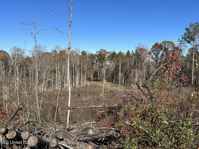 Hickory Fellowship Rd, Hickory, MS 39332