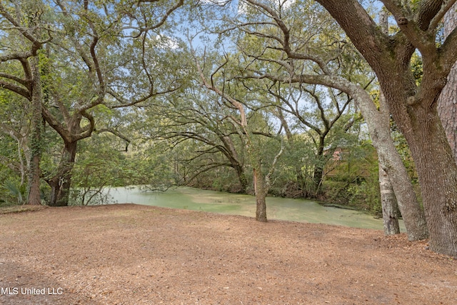 view of yard with a water view