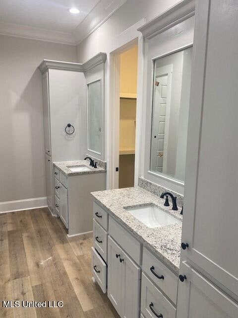 bathroom featuring vanity, crown molding, and wood-type flooring