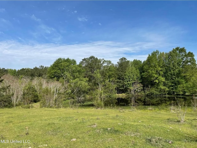 Listing photo 2 for 225 Burnham Rd, Brandon MS 39042