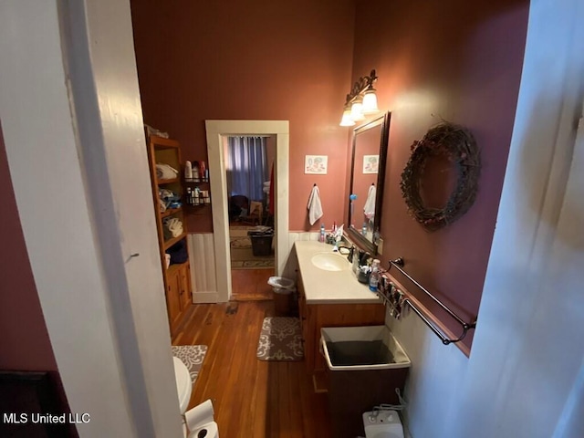 bathroom featuring wood finished floors and vanity