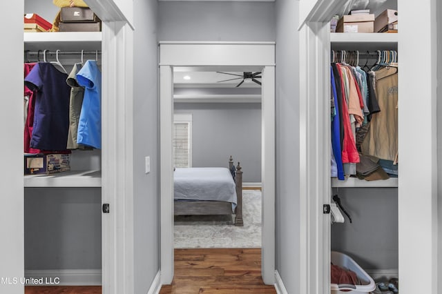 213 Wellington Way, Brandon, MS 39047 - view of closet