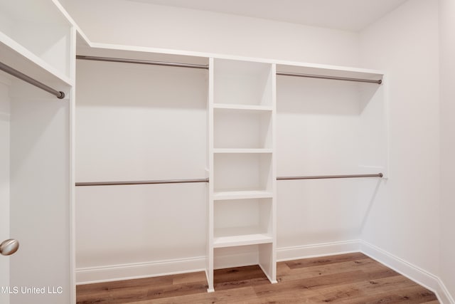 spacious closet with wood-type flooring