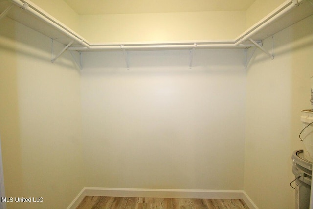 walk in closet featuring wood-type flooring