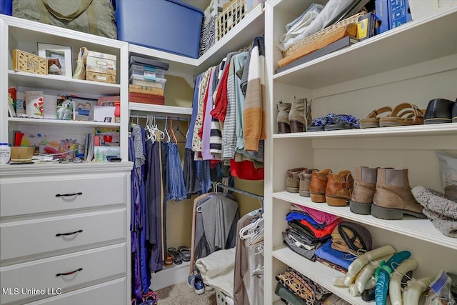 view of walk in closet