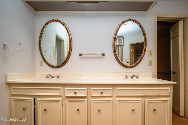 full bathroom featuring double vanity and a sink