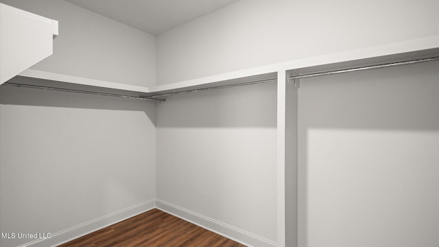 walk in closet featuring dark wood-type flooring