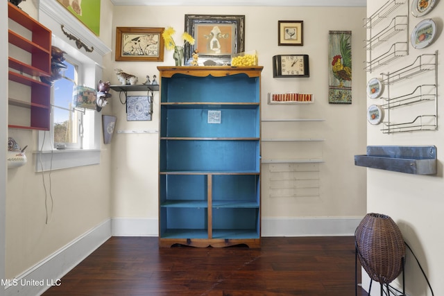 interior space with dark wood-type flooring