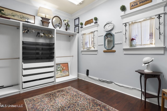 mudroom with dark hardwood / wood-style flooring and ornamental molding