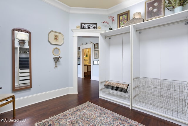 mudroom with dark hardwood / wood-style floors and crown molding