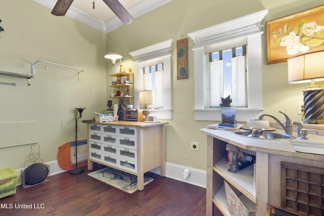 interior space featuring dark hardwood / wood-style flooring, ceiling fan, ornamental molding, and sink