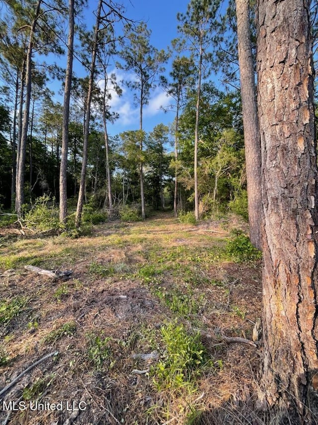 12409 Lorraine Rd, Biloxi, MS 39532