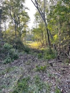 12409 Lorraine Rd, Biloxi, MS 39532